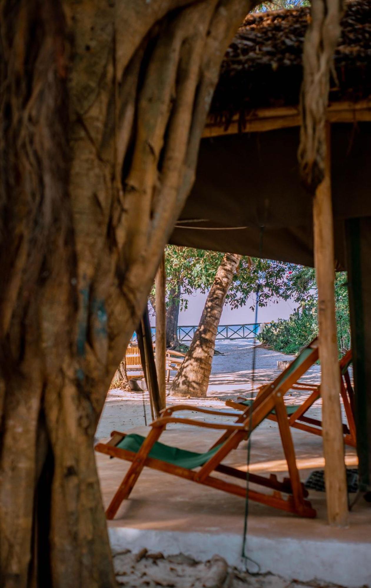 Mikadi Beach Camp & Backpackers Ostello Dar es Salaam Esterno foto